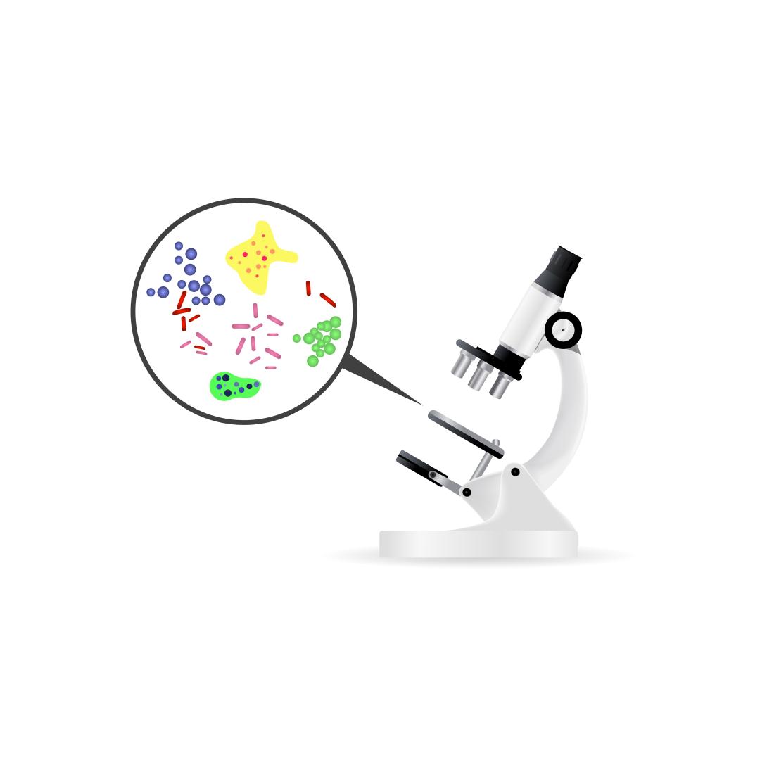 analyses-microbiologiques-charcuterie